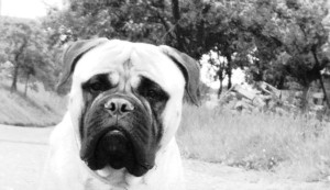 10553464_479391702197461_521ddd7913236604943436_n xxx