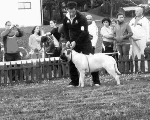 559438_111143289022306_1138892752_n